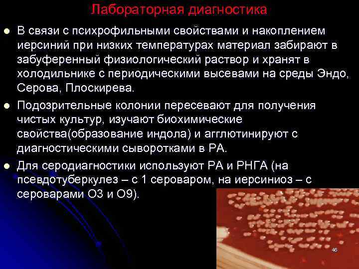 Лабораторная диагностика l l l В связи с психрофильными свойствами и накоплением иерсиний при