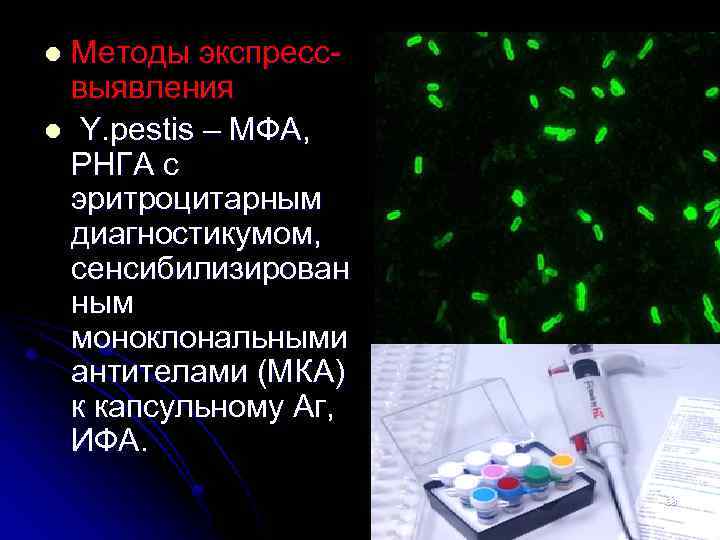 Методы экспрессвыявления l Y. pestis – МФА, РНГА с эритроцитарным диагностикумом, сенсибилизирован ным моноклональными