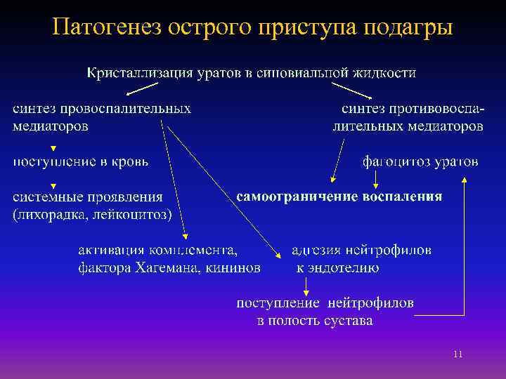 Патогенез острого приступа подагры 11 