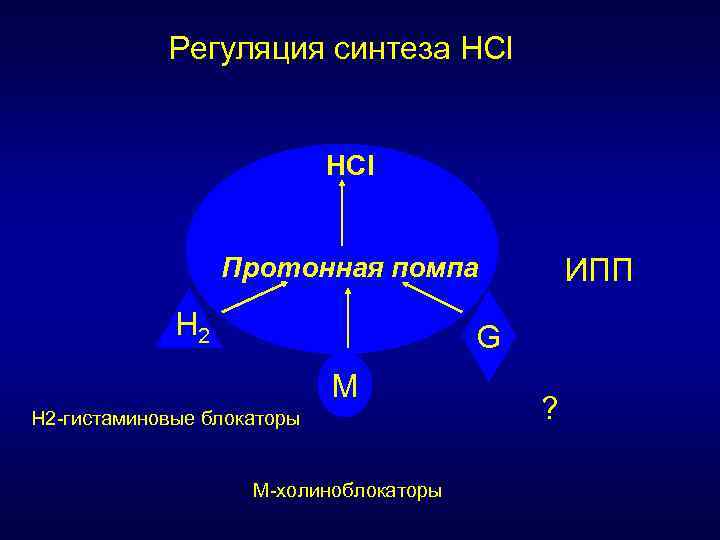 Регуляция синтеза HCl Протонная помпа H 2 ИПП G M Н 2 -гистаминовые блокаторы
