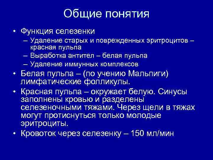 Общие понятия • Функция селезенки – Удаление старых и поврежденных эритроцитов – красная пульпа