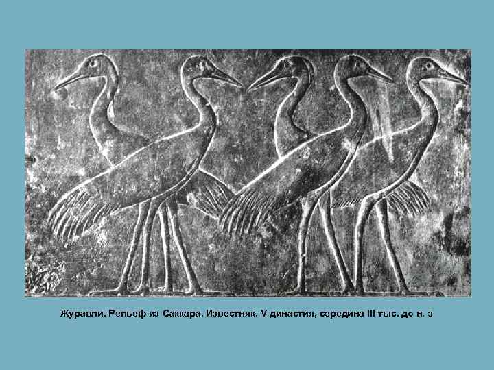  Журавли. Рельеф из Саккара. Известняк. V династия, середина III тыс. до н. э