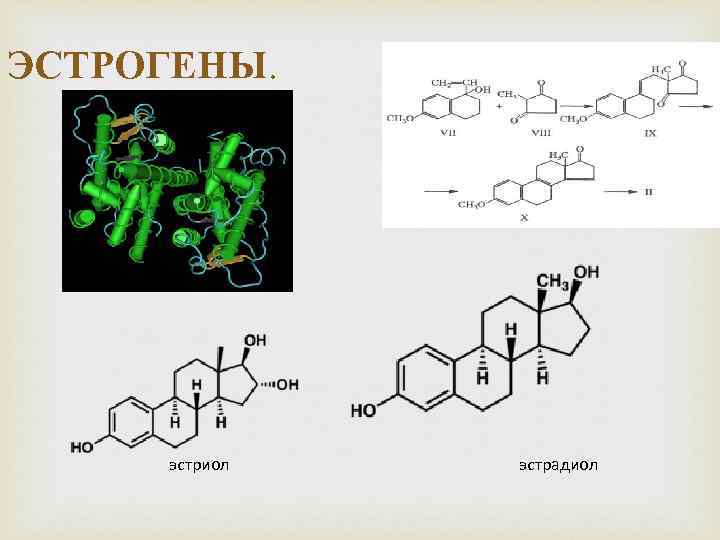 ЭСТРОГЕНЫ. эстриол эстрадиол 