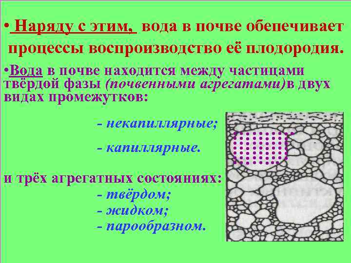  • • Наряду с этим, вода в почве обепечивает процессы воспроизводство её плодородия.