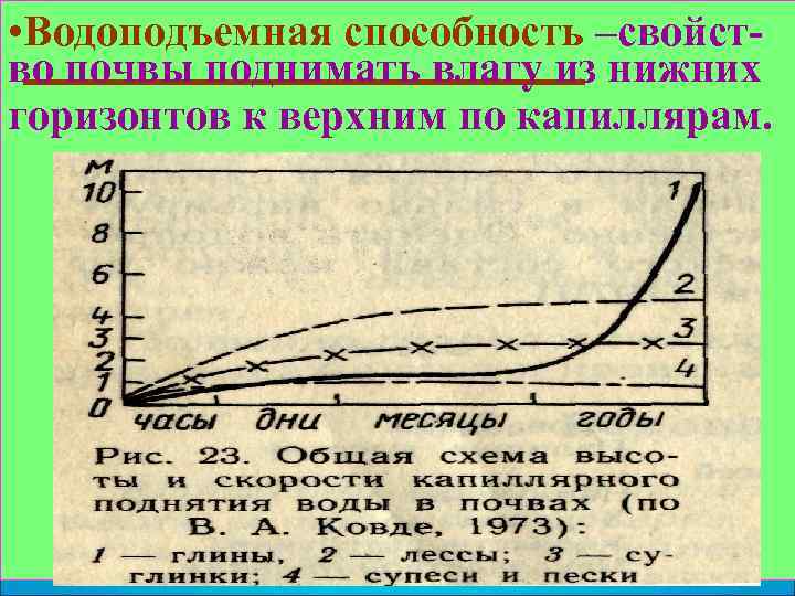  • Водоподъемная способность –свойст- во почвы поднимать влагу из нижних горизонтов к верхним