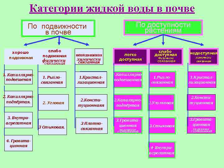 Категории жидкой воды в почве По подвижности в почве хорошо подвижная 1. Капиллярноподвешеная 2.