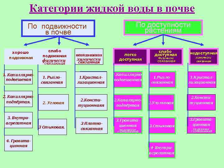 Категории жидкой воды в почве По подвижности в почве хорошо подвижная 1. Капиллярноподвешеная 2.
