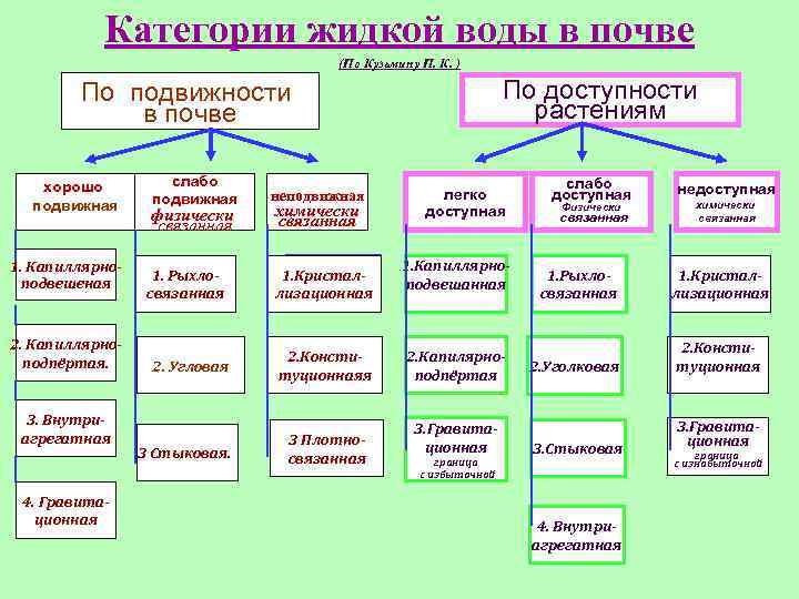Категории жидкой воды в почве (По Кузьмину П. К. ) По доступности растениям По