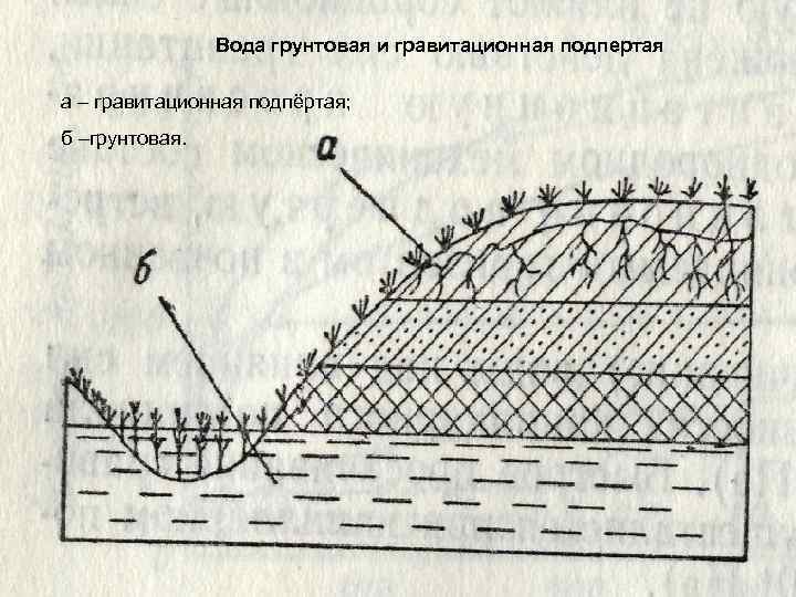 Вода грунтовая и гравитационная подпертая а – гравитационная подпёртая; б –грунтовая. 