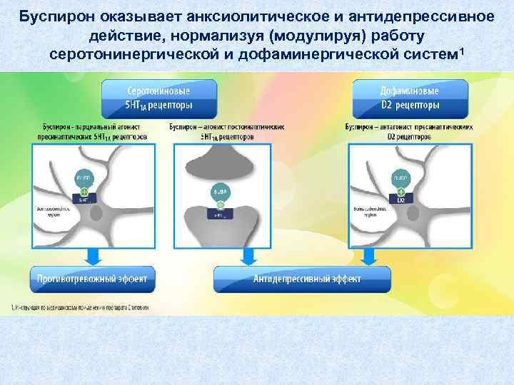 Буспирон оказывает анксиолитическое и антидепрессивное действие, нормализуя (модулируя) работу серотонинергической и дофаминергической систем 1