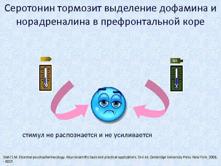 Серотонин тормозит выделение дофамина и норадреналина в префронтальной коре стимул не распознается и не
