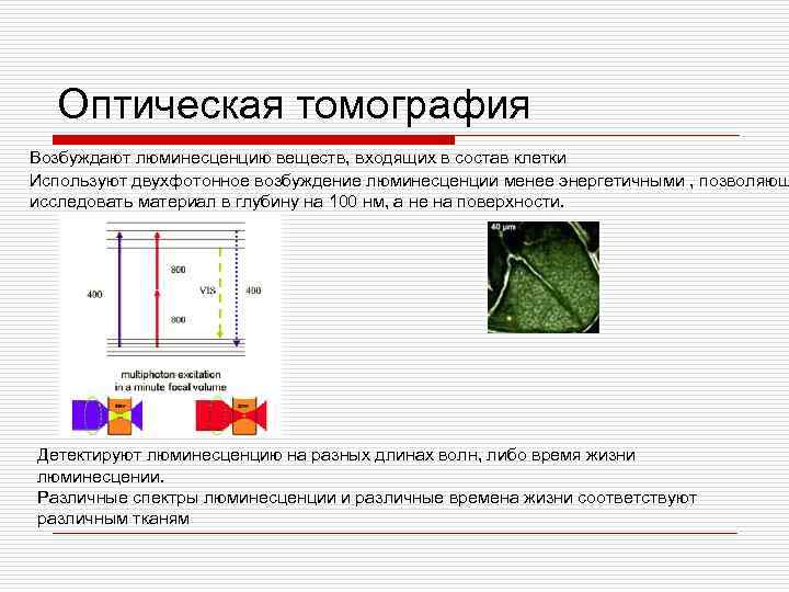 Оптическая томография Возбуждают люминесценцию веществ, входящих в состав клетки Используют двухфотонное возбуждение люминесценции менее