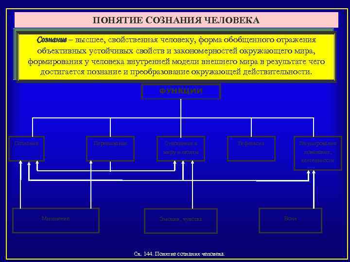 Понятие сознания. Понятие сознания человека. Понятия «сознание» и «отражение». Этапы отражения внешнего мира в сознании человека.