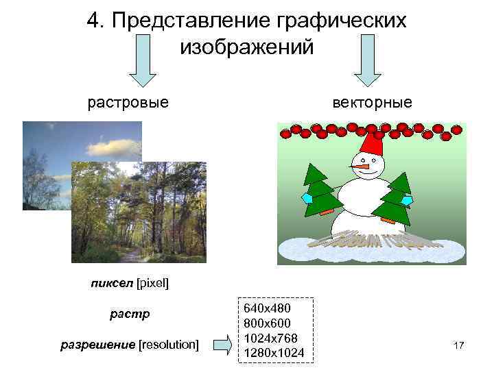 4. Представление графических изображений растровые векторные пиксел [pixel] растр разрешение [resolution] 640 х480 800