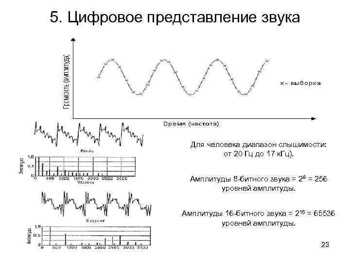 5. Цифровое представление звука Для человека диапазон слышимости: от 20 Гц до 17 к.