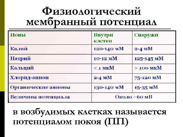 Физиологический мембранный потенциал в возбудимых клетках называется потенциалом покоя (ПП) 