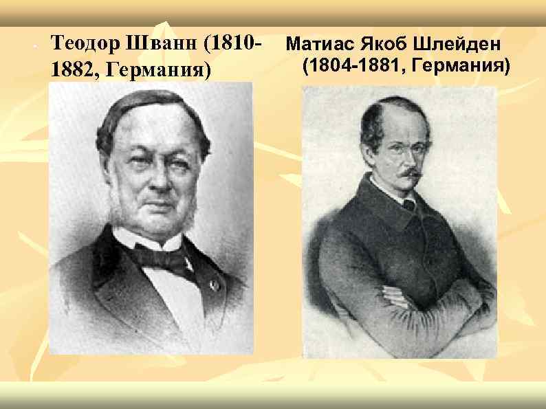  • Теодор Шванн (18101882, Германия) Матиас Якоб Шлейден (1804 -1881, Германия) 