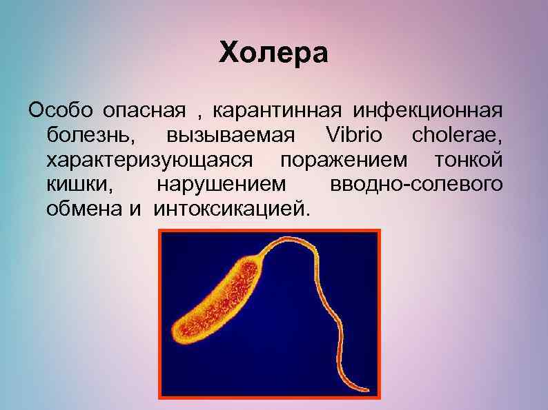 Холера Особо опасная , карантинная инфекционная болезнь, вызываемая Vibrio cholerae, характеризующаяся поражением тонкой кишки,