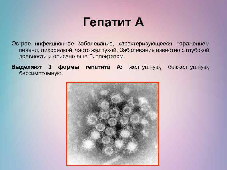 Гепатит А Острое инфекционное заболевание, характеризующееся поражением печени, лихорадкой, часто желтухой. Заболевание известно с