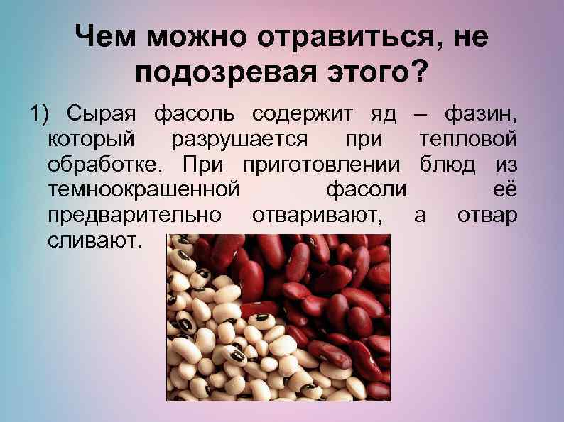 Чем можно отравиться, не подозревая этого? 1) Сырая фасоль содержит яд который разрушается при