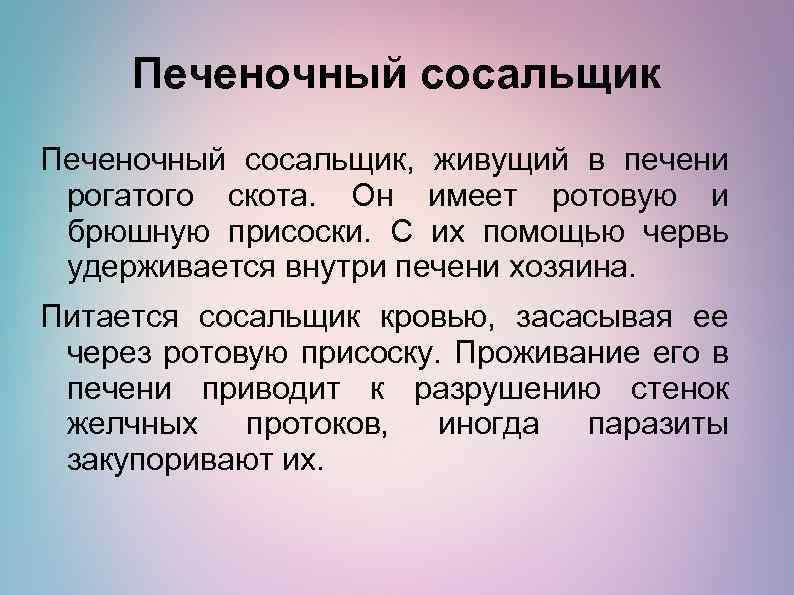 Печеночный сосальщик, живущий в печени рогатого скота. Он имеет ротовую и брюшную присоски. С