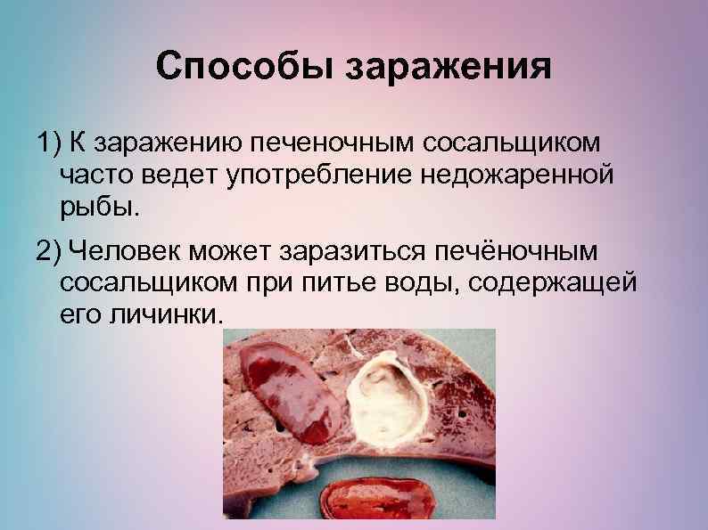 Способы заражения 1) К заражению печеночным сосальщиком часто ведет употребление недожаренной рыбы. 2) Человек