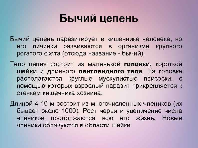 Бычий цепень паразитирует в кишечнике человека, но его личинки развиваются в организме крупного рогатого