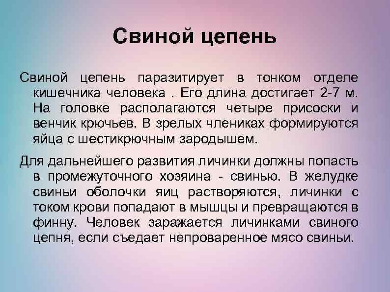 Свиной цепень паразитирует в тонком отделе кишечника человека. Его длина достигает 2 -7 м.