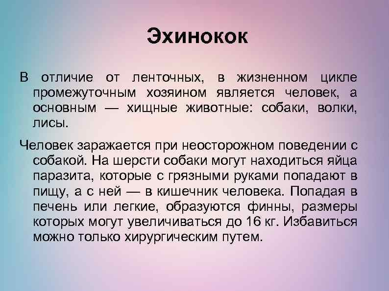 Эхинокок В отличие от ленточных, в жизненном цикле промежуточным хозяином является человек, а основным