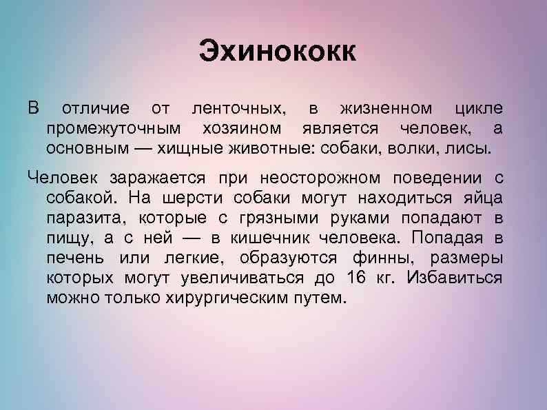 Эхинококк В отличие от ленточных, в жизненном цикле промежуточным хозяином является человек, а основным