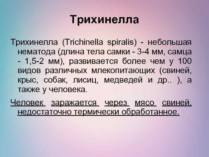 Трихинелла (Trichinella spiralis) - небольшая нематода (длина тела самки - 3 -4 мм, самца
