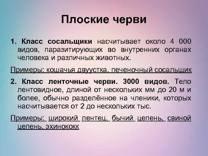Плоские черви 1. Класс сосальщики насчитывает около 4 000 видов, паразитирующих во внутренних органах