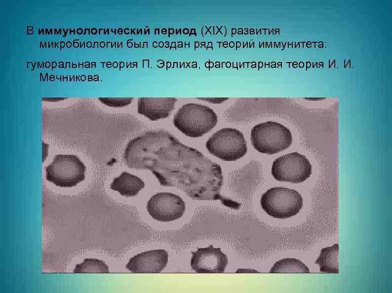 Грм агар расшифровка микробиология