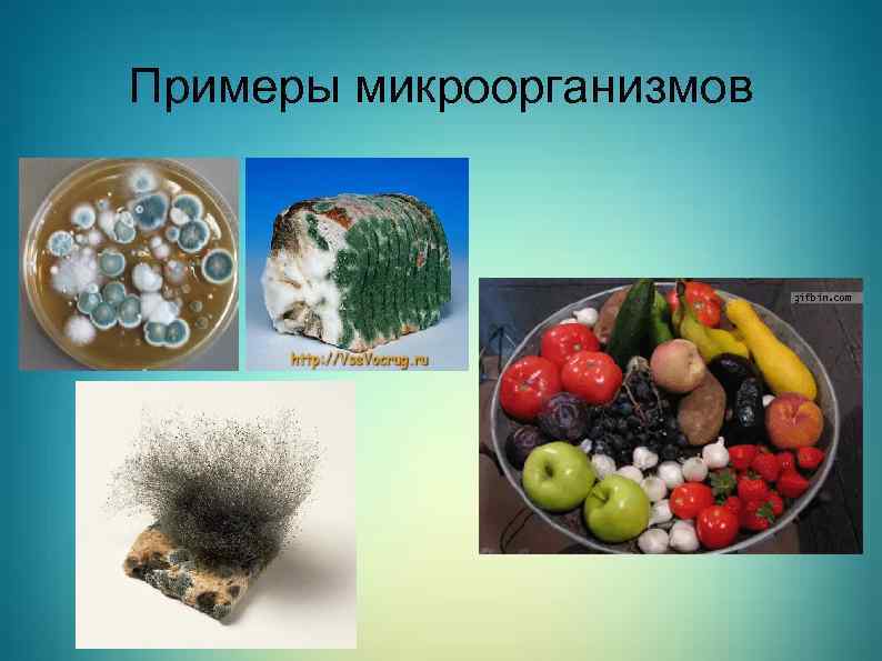 Санитария и гигиена картинки