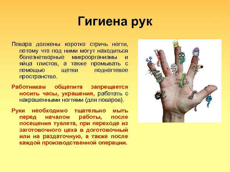 Гигиена рук Повара должены коротко стричь ногти, потому что под ними могут находиться болезнетворные