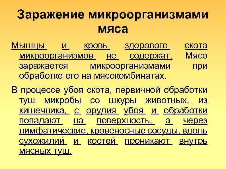 Заражение микроорганизмами мяса Мышцы и кровь здорового микроорганизмов не содержат. заражается микроорганизмами обработке его