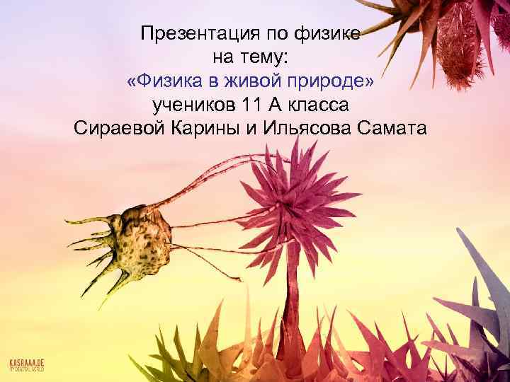 Презентация по физике на тему: «Физика в живой природе» учеников 11 А класса Сираевой