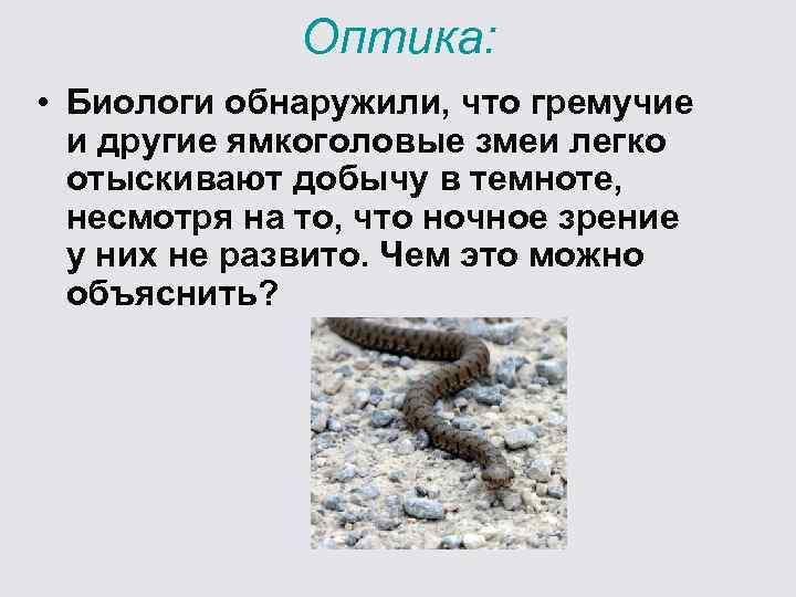 Оптика: • Биологи обнаружили, что гремучие и другие ямкоголовые змеи легко отыскивают добычу в