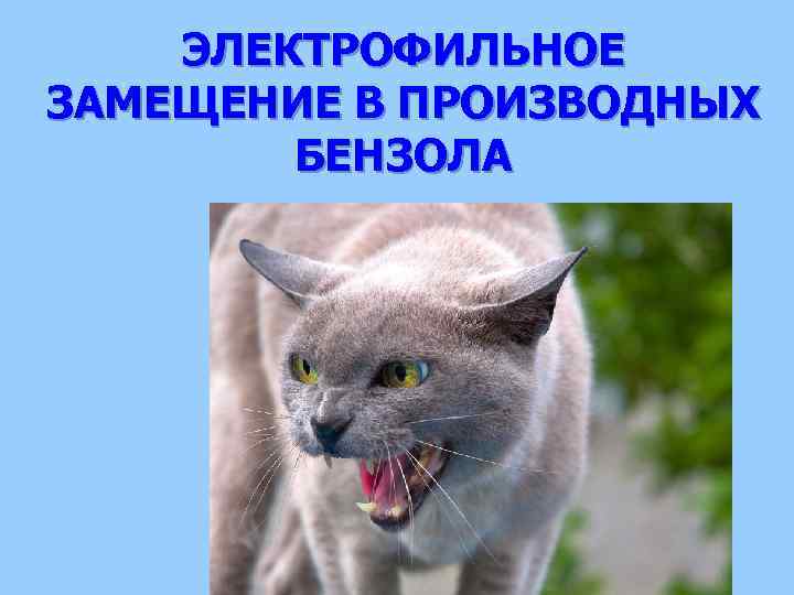 ЭЛЕКТРОФИЛЬНОЕ ЗАМЕЩЕНИЕ В ПРОИЗВОДНЫХ БЕНЗОЛА 