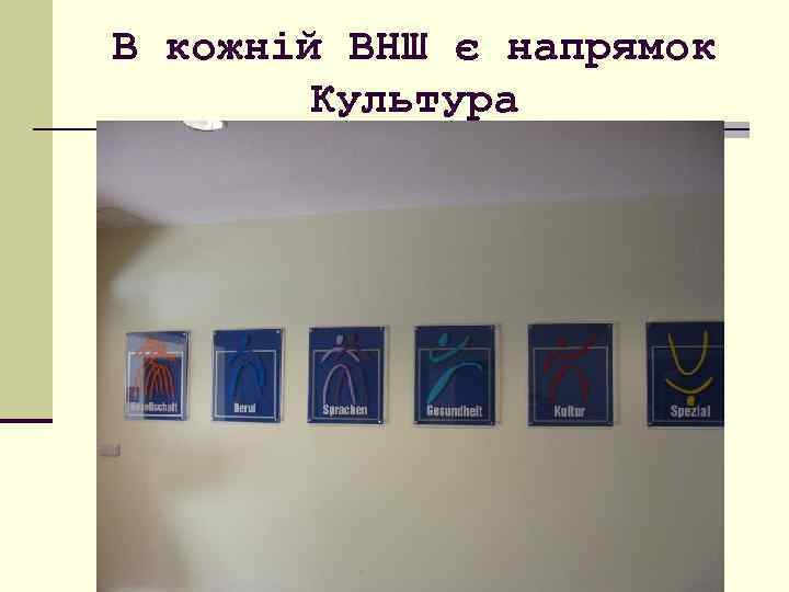 В кожній ВНШ є напрямок Культура 