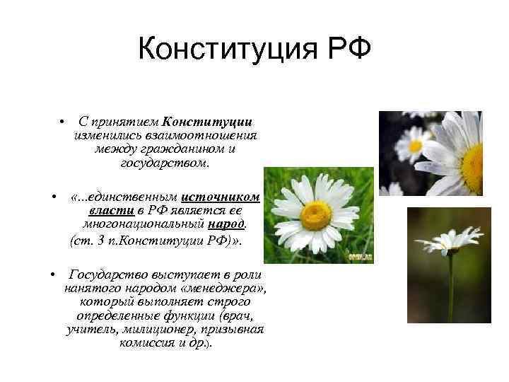 Конституция РФ • С принятием Конституции изменились взаимоотношения между гражданином и государством. • «.