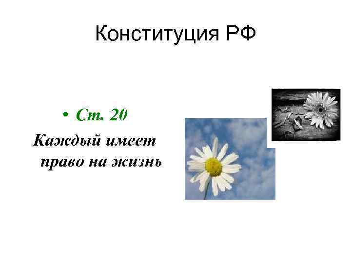 Конституция РФ • Ст. 20 Каждый имеет право на жизнь 