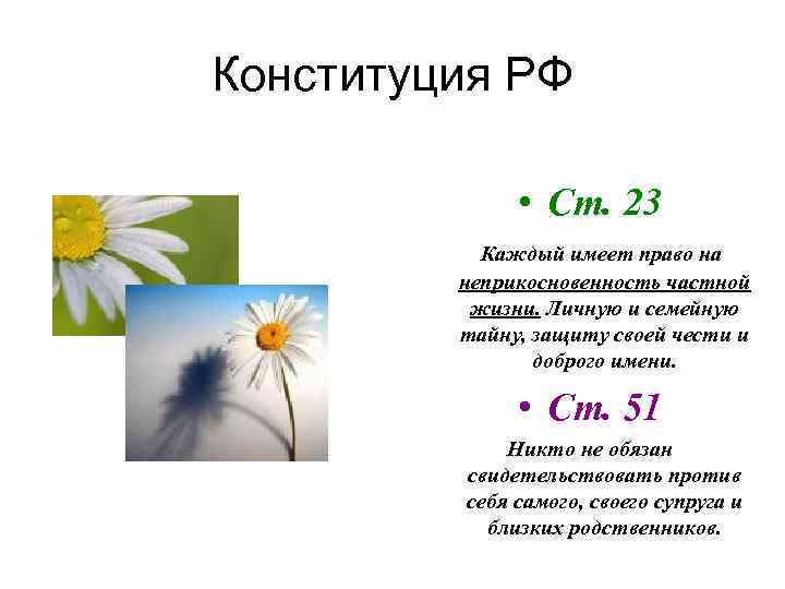 Конституция РФ • Ст. 23 Каждый имеет право на неприкосновенность частной жизни. Личную и