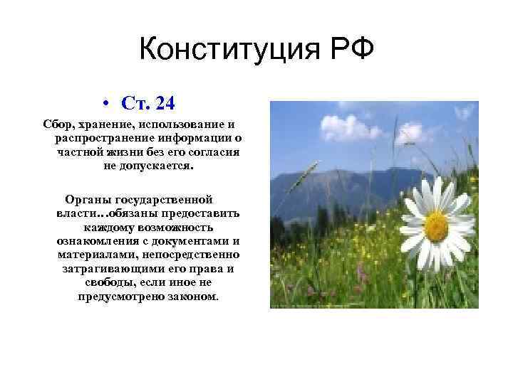 Конституция РФ • Ст. 24 Сбор, хранение, использование и распространение информации о частной жизни