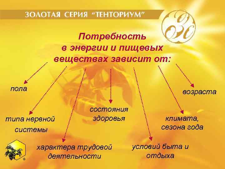 От каких факторов зависит. Потребность человека в энергии. Потребность взрослого человека в энергии зависит от. От чего зависит потребность в энергии у человека. Суточная потребность в энергии зависит от.