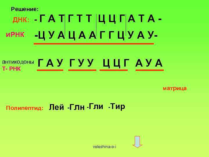 Антикодон состоит из нуклеотидов. Антикодон т-РНК. Задачи на РНК И ДНК С решением 9 класс. Как решать задачи на ИРНК. Задания на антикодоны.