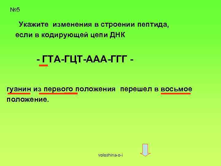 № 5 Укажите изменения в строении пептида, если в кодирующей цепи ДНК - ГТА-ГЦТ-ААА-ГГГ