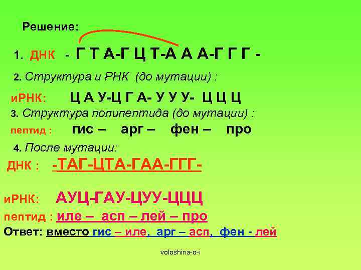 Днк 1 днк 2 ирнк. Решение задач по ДНК И РНК 9 класс. Биология ДНК И РНК задачи. Задачи по биологии 9 класс ДНК И РНК С решением. Задачи по биологии на ДНК И РНК.