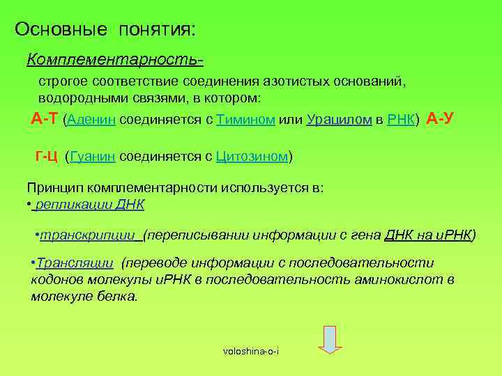 Основные понятия: Комплементарностьстрогое соответствие соединения азотистых оснований, водородными связями, в котором: А-Т (Аденин соединяется