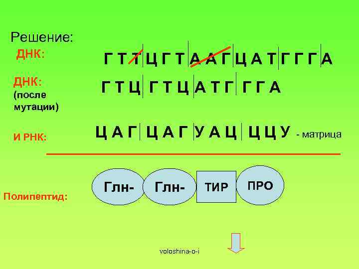 Решение: ДНК: ГТТЦГТААГЦАТГГГА ДНК: ГТЦ АТГ ГГА (после мутации) И РНК: Полипептид: ЦАГ УАЦ